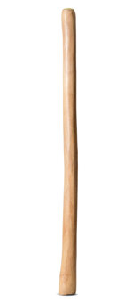 Medium Size Natural Finish Didgeridoo (TW1568)